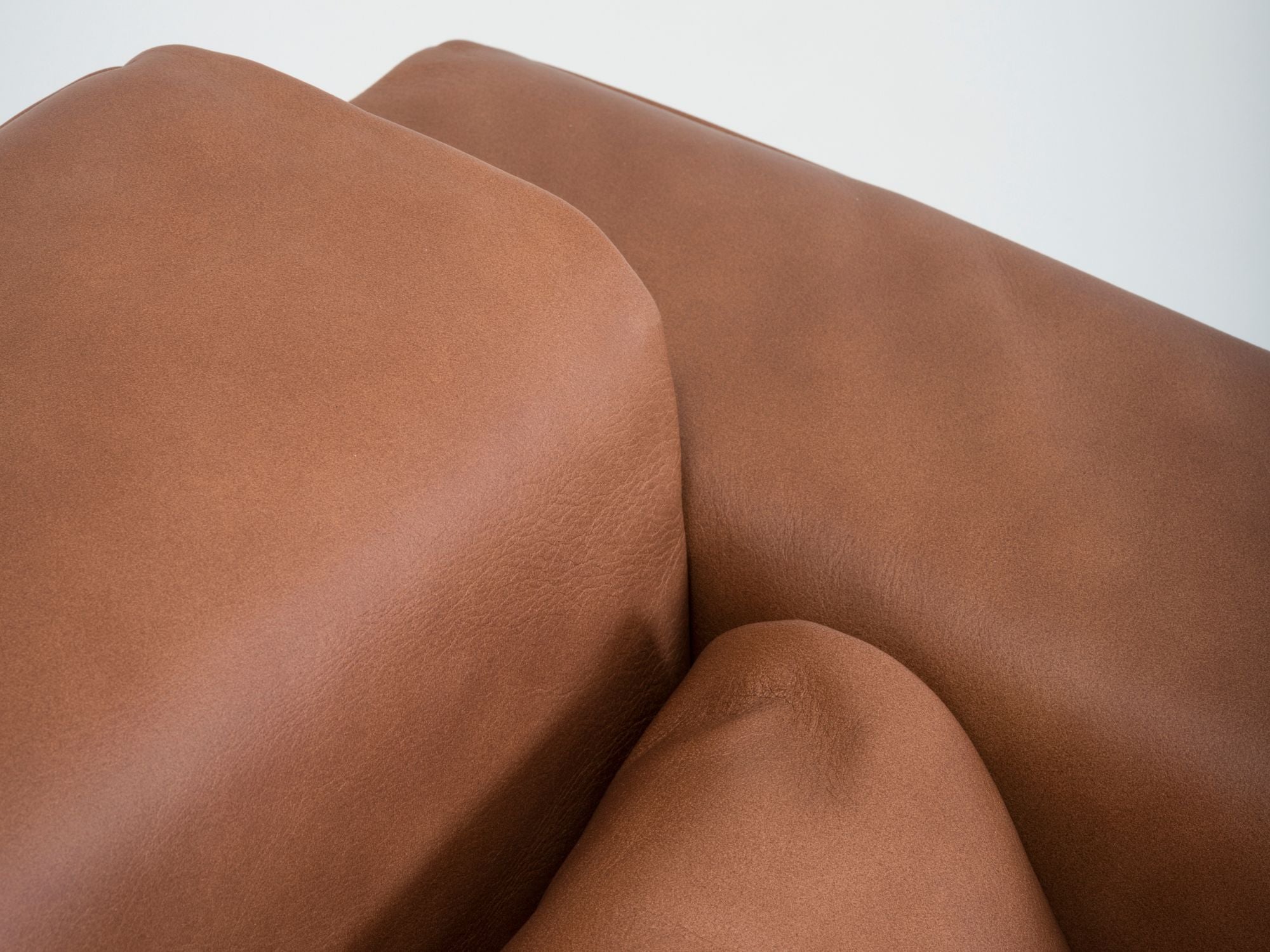 Fawn sofa