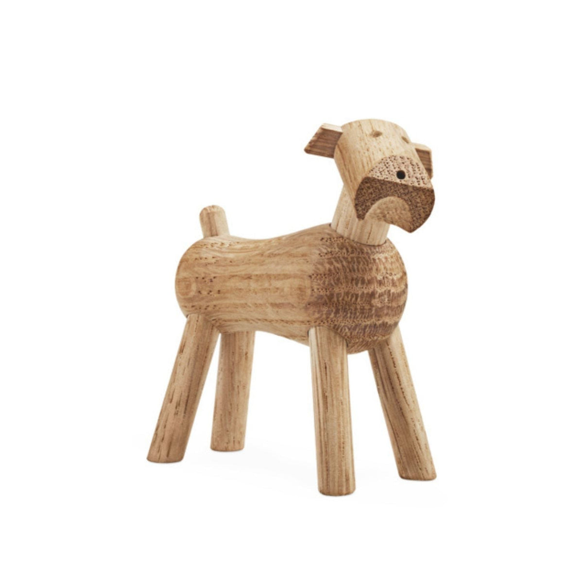 Hund - Tim