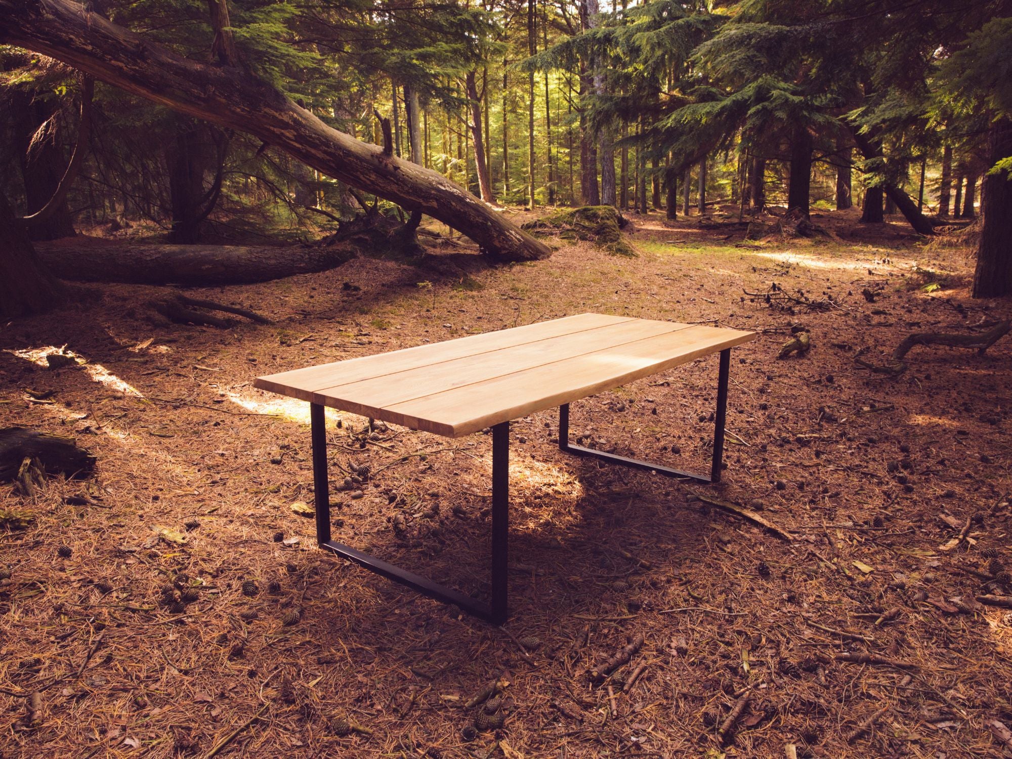 Forest spisebord