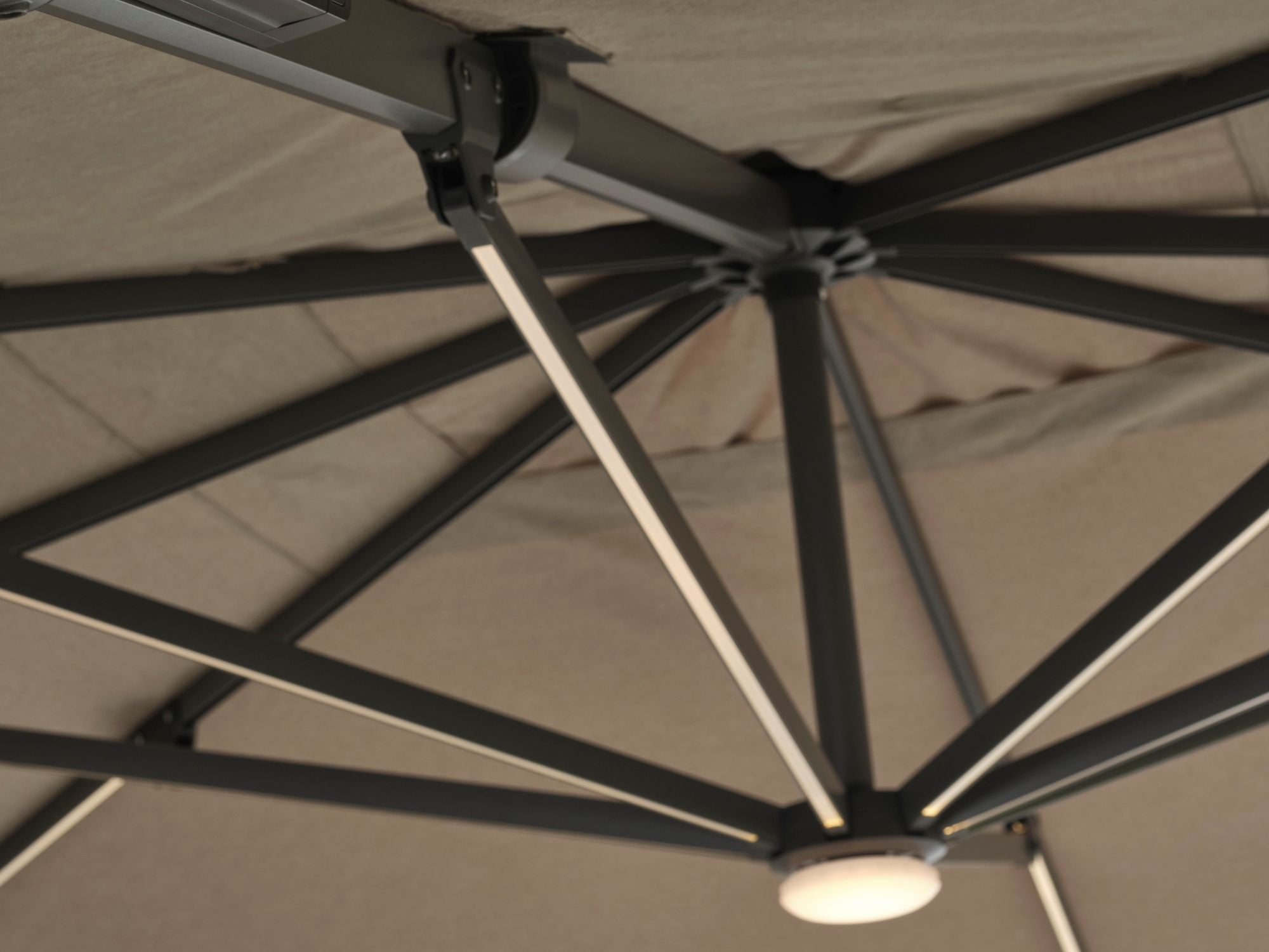 Palma parasol - Kvadratisk