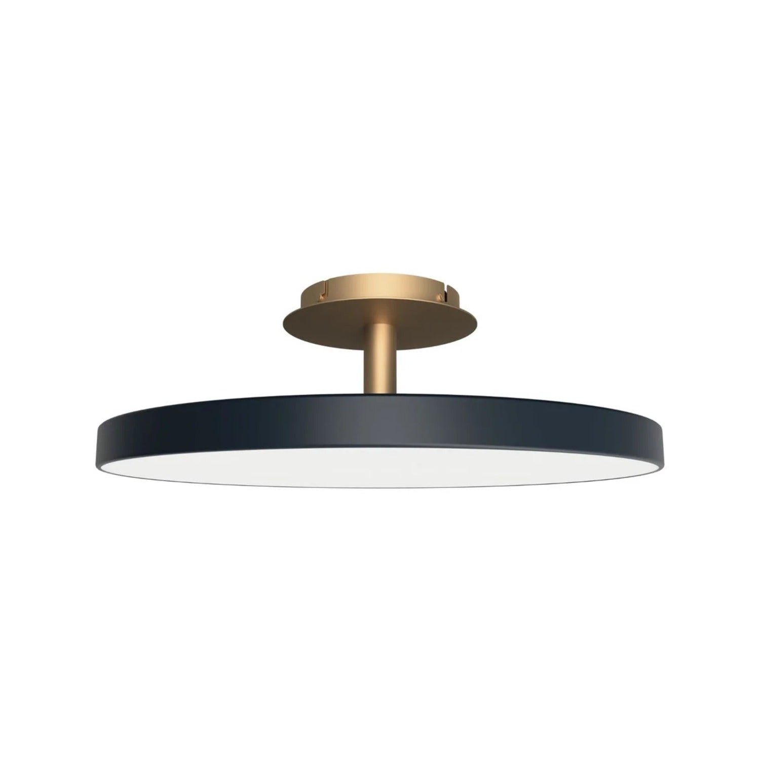 UMAGE Asteria Up lampe i Anthracite Grey