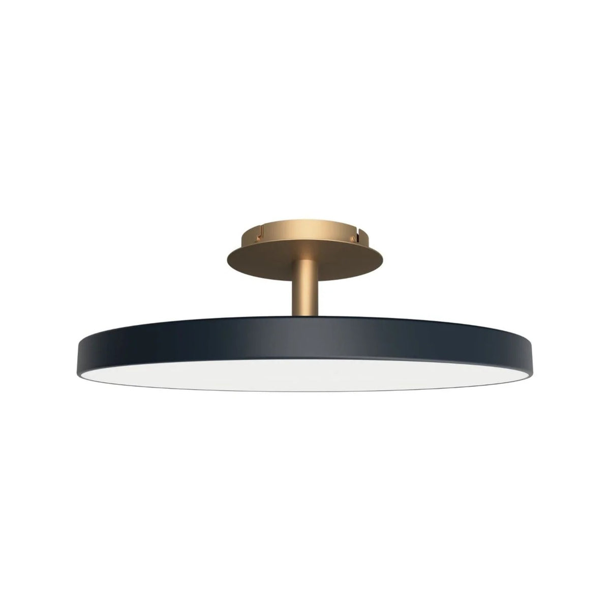 UMAGE Asteria Up lampe i Anthracite Grey
