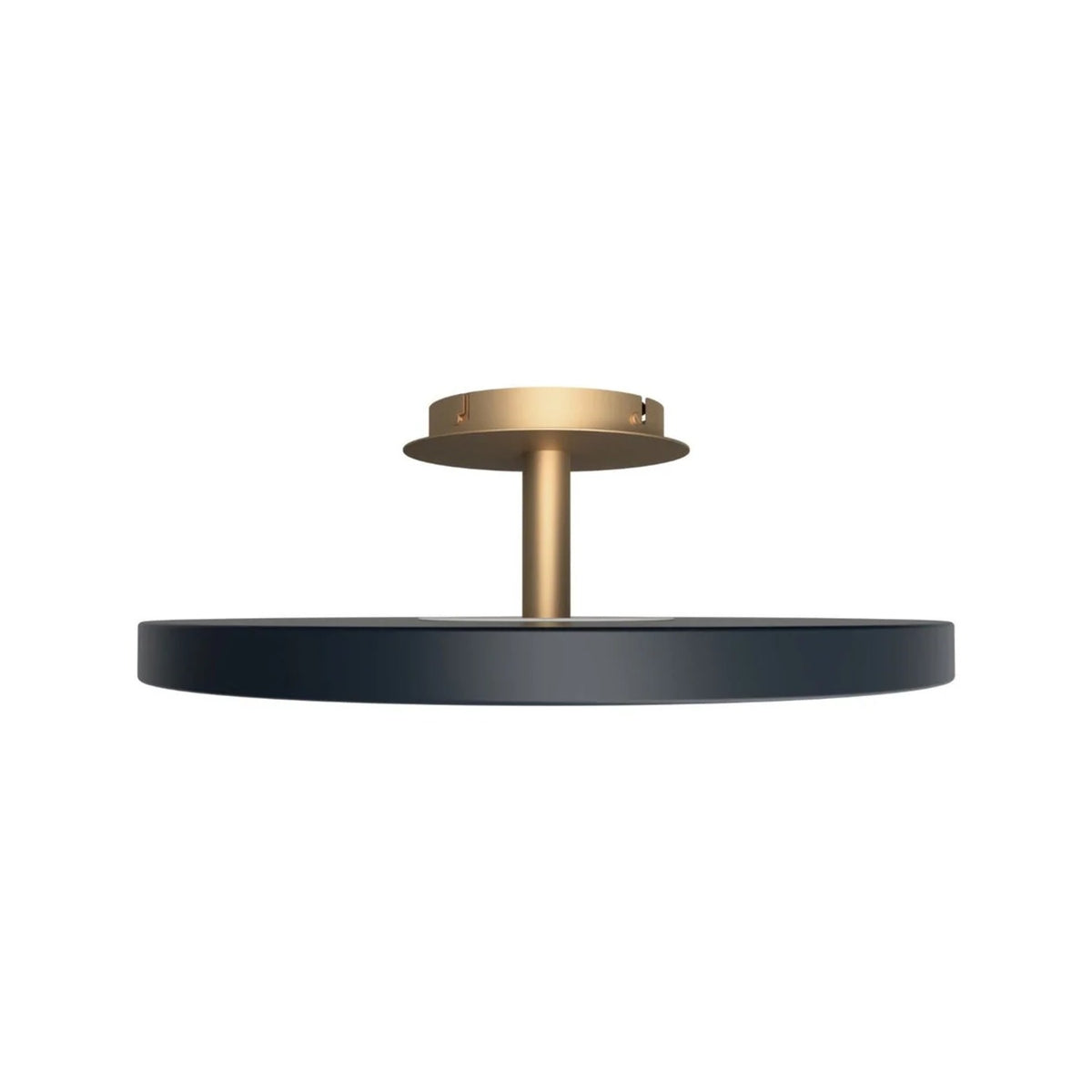 UMAGE Asteria Up lampe i Anthracite Grey