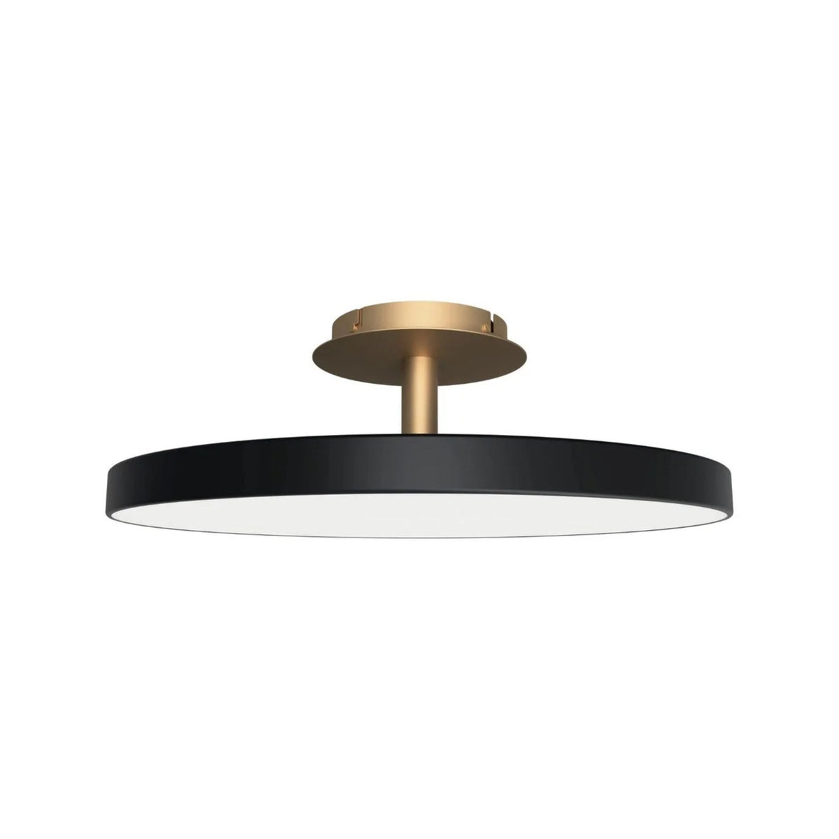 UMAGE Asteria Up lampe i Black