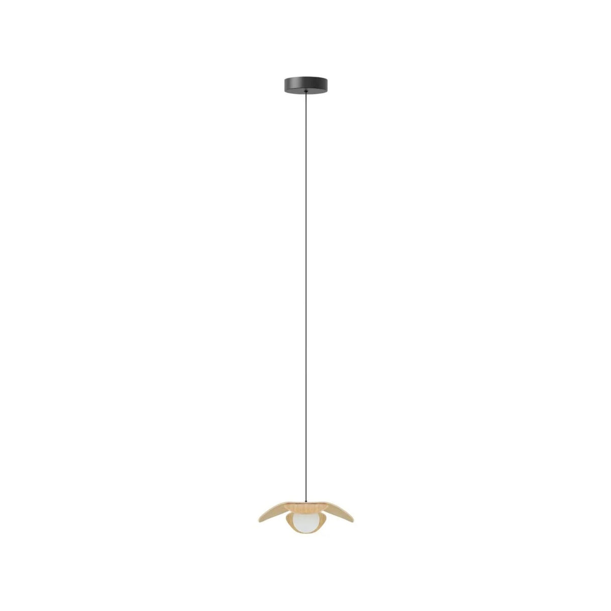 UMAGE Forget Me Not lampe i lakeret eg, Mini med Rosette Mini