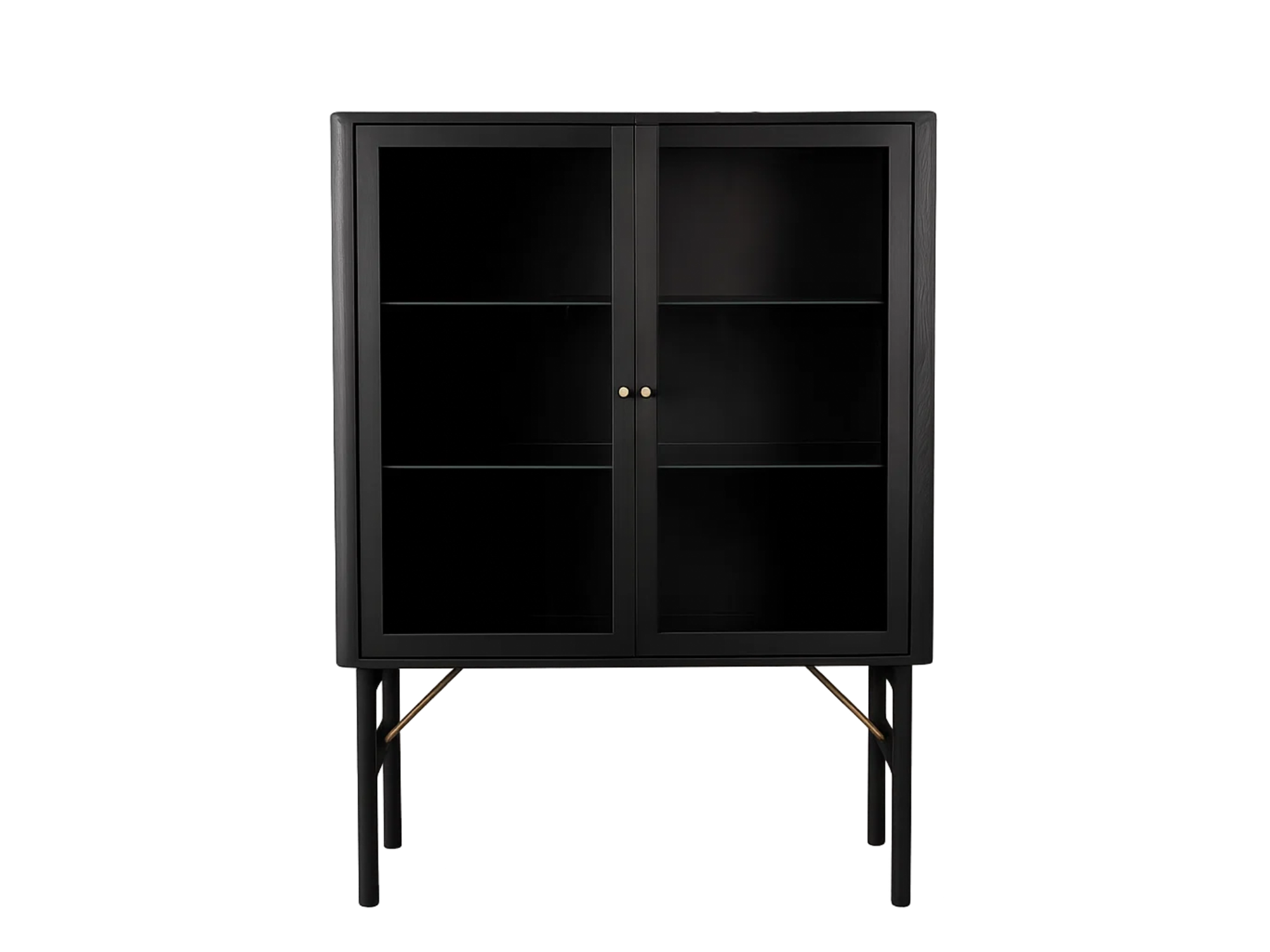 Ant vitrine
